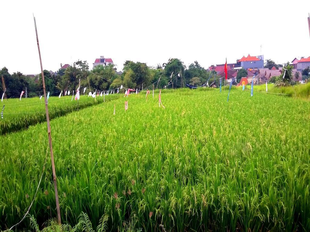Reddoorz At Kerobokan Seminyak 2 外观 照片